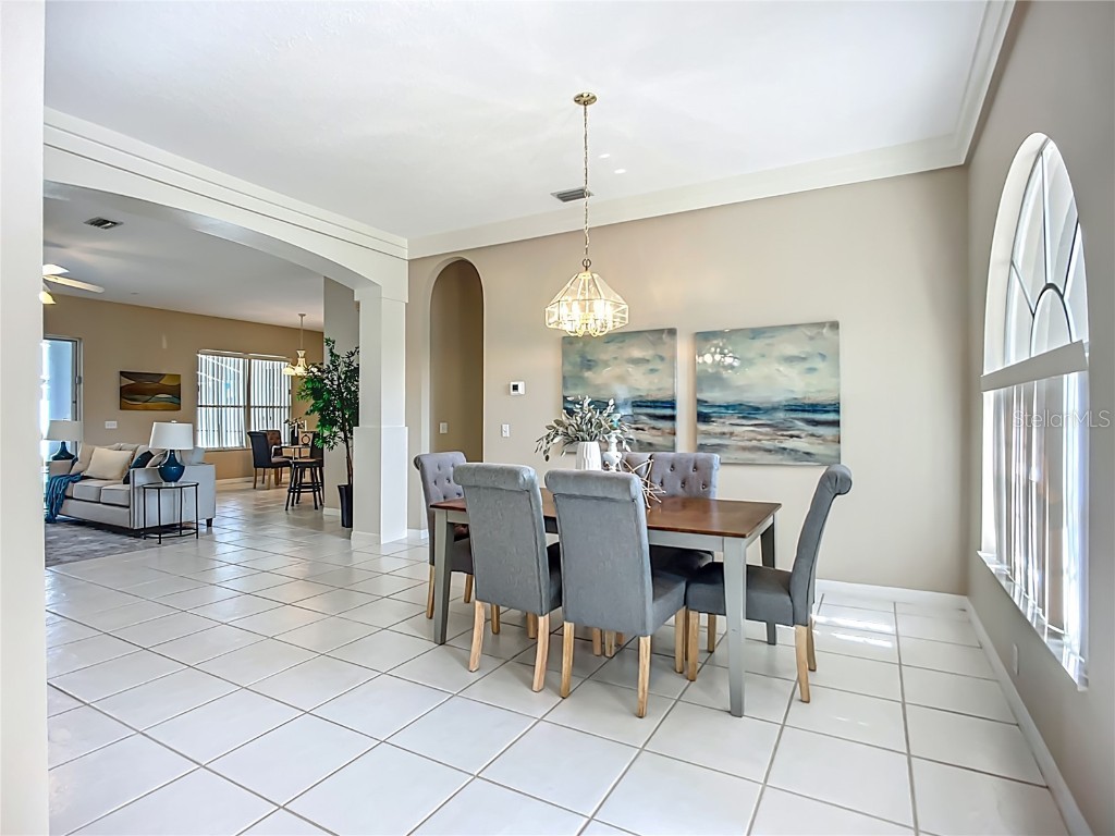 9803 Ocasta Street Riverview FL 33569 TB8407093 image7