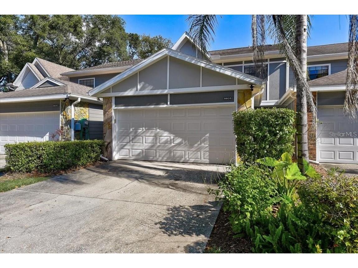 9803 Thornridge Road Tampa FL 33612 T3488087 image1