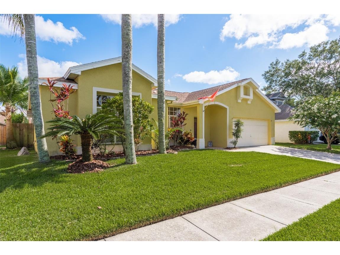 9804 Bennington Drive, Tampa, FL, 33626 MLS U8246805 Edina Realty