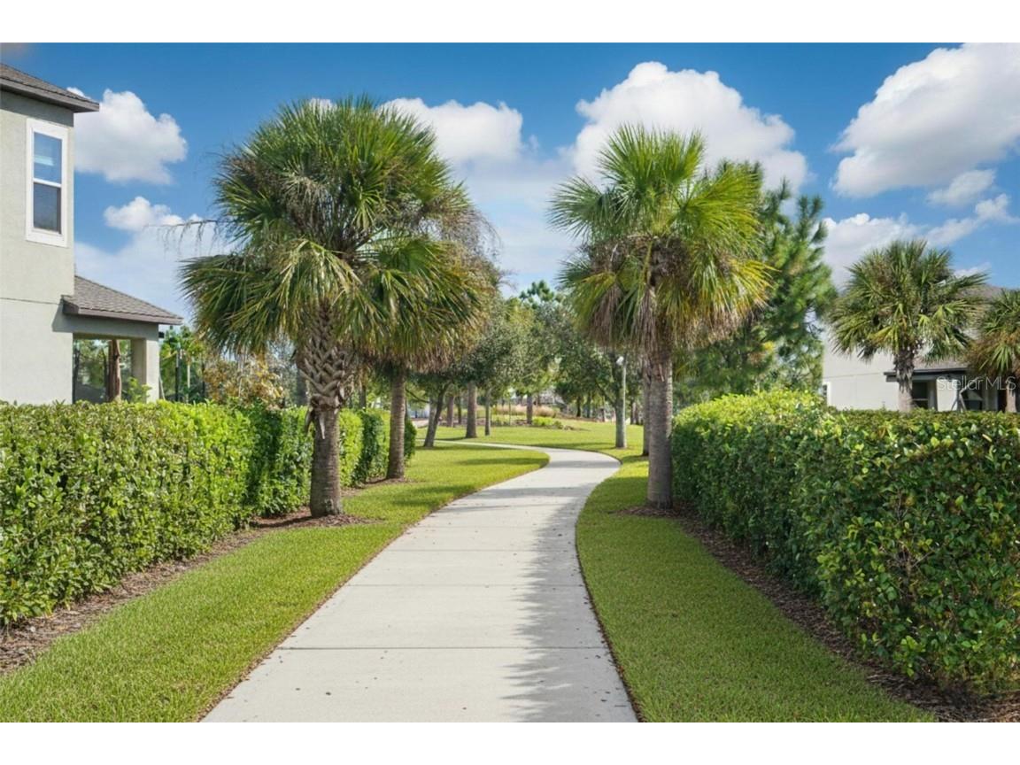 9804 Ivory Drive Sun City Center FL 33573 TB8452425 image34