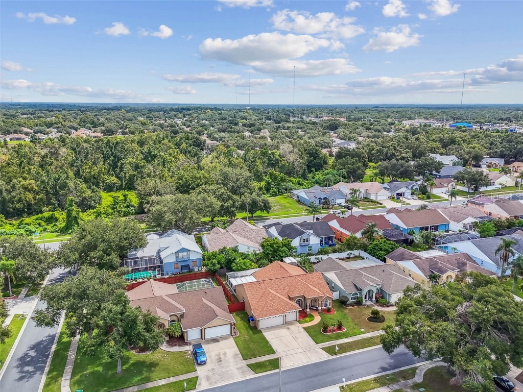 9804 Ocasta Street Riverview FL 33569 TB8423858 image74