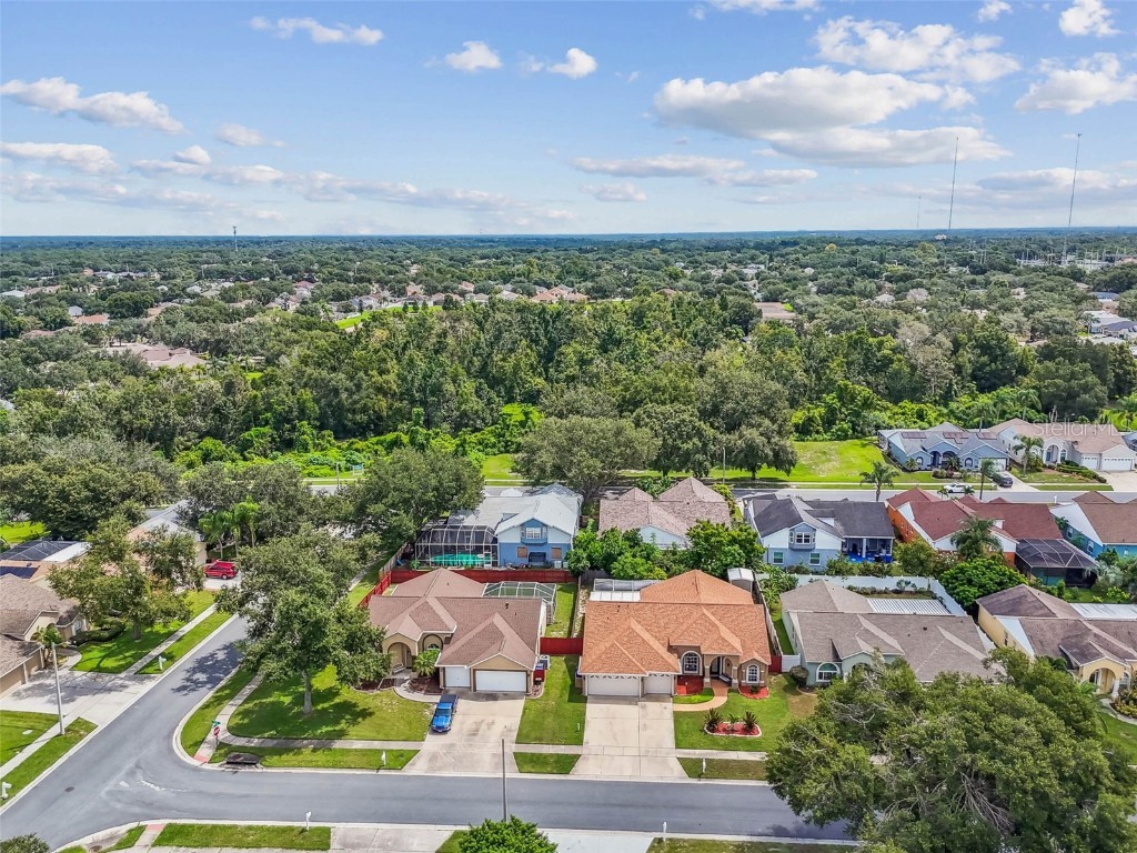 9804 Ocasta Street Riverview FL 33569 TB8423858 image75