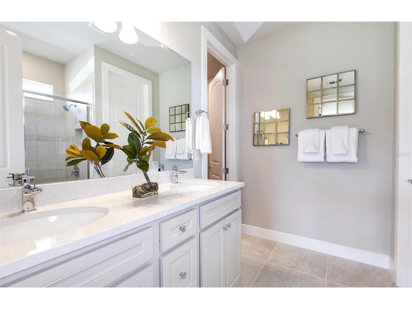 9804 Redwood Heights Loop Thonotosassa FL 33592 TB8485951 image10