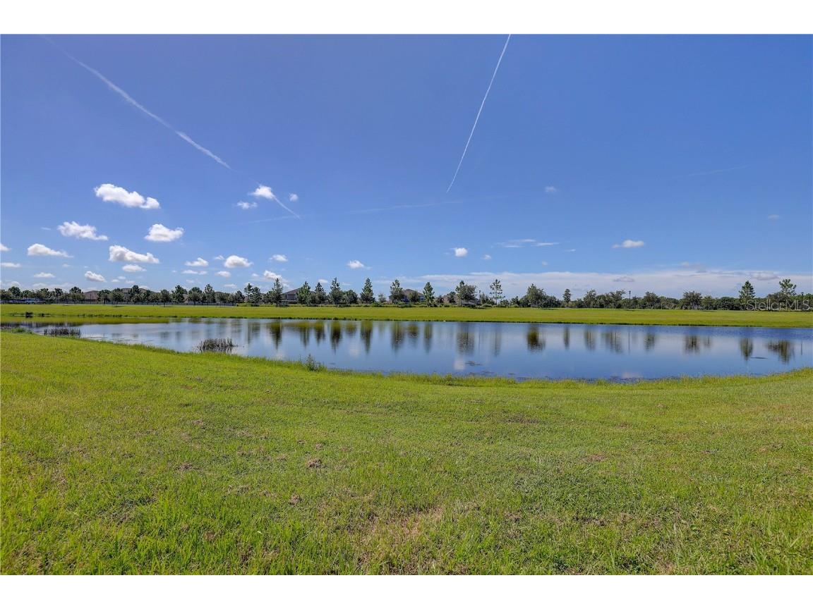 9805 Alysheba Court Sun City Center FL 33573 TB8420363 image44