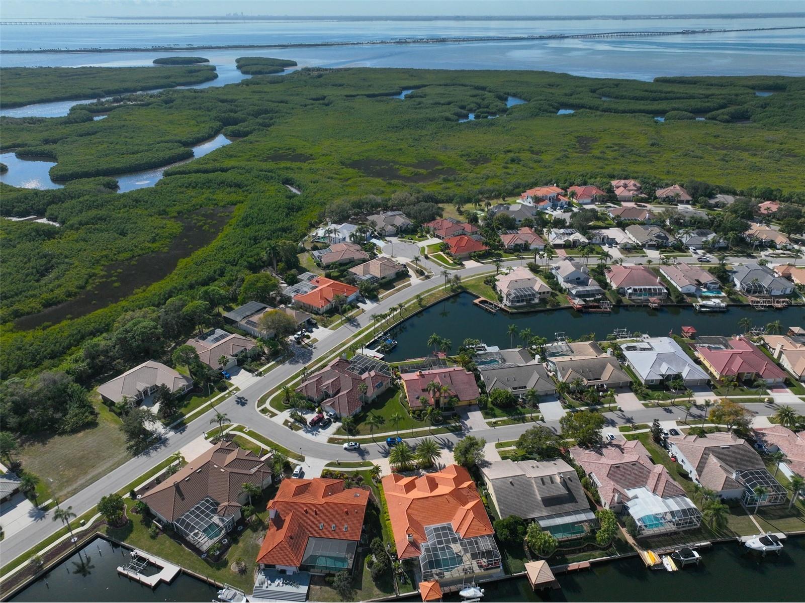 9805 Compass Point Way Tampa FL 33615 TB8465679 image86