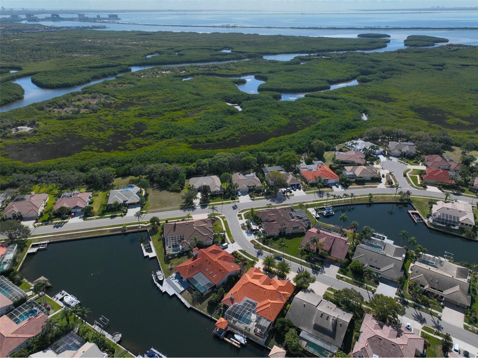 9805 Compass Point Way Tampa FL 33615 TB8465679 image87