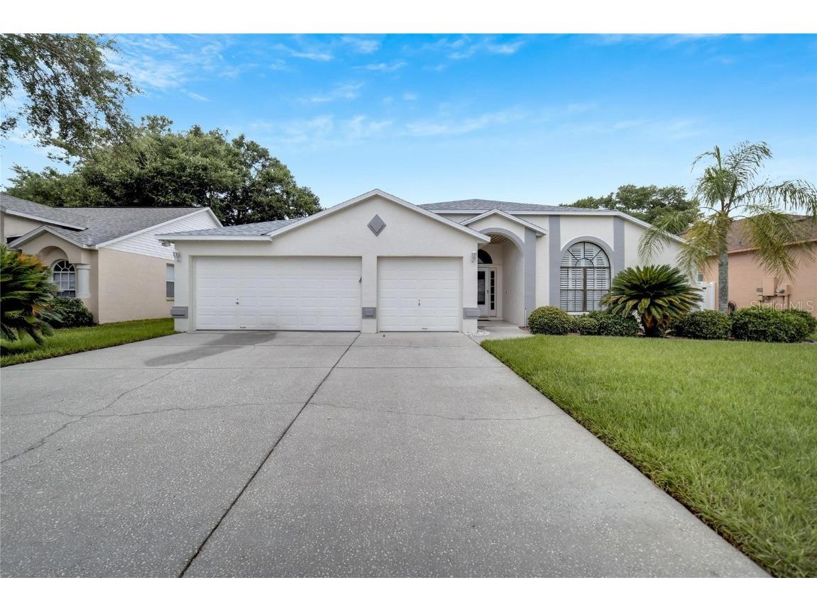 9805 Larita Place Riverview FL 33569 T3457526 image1