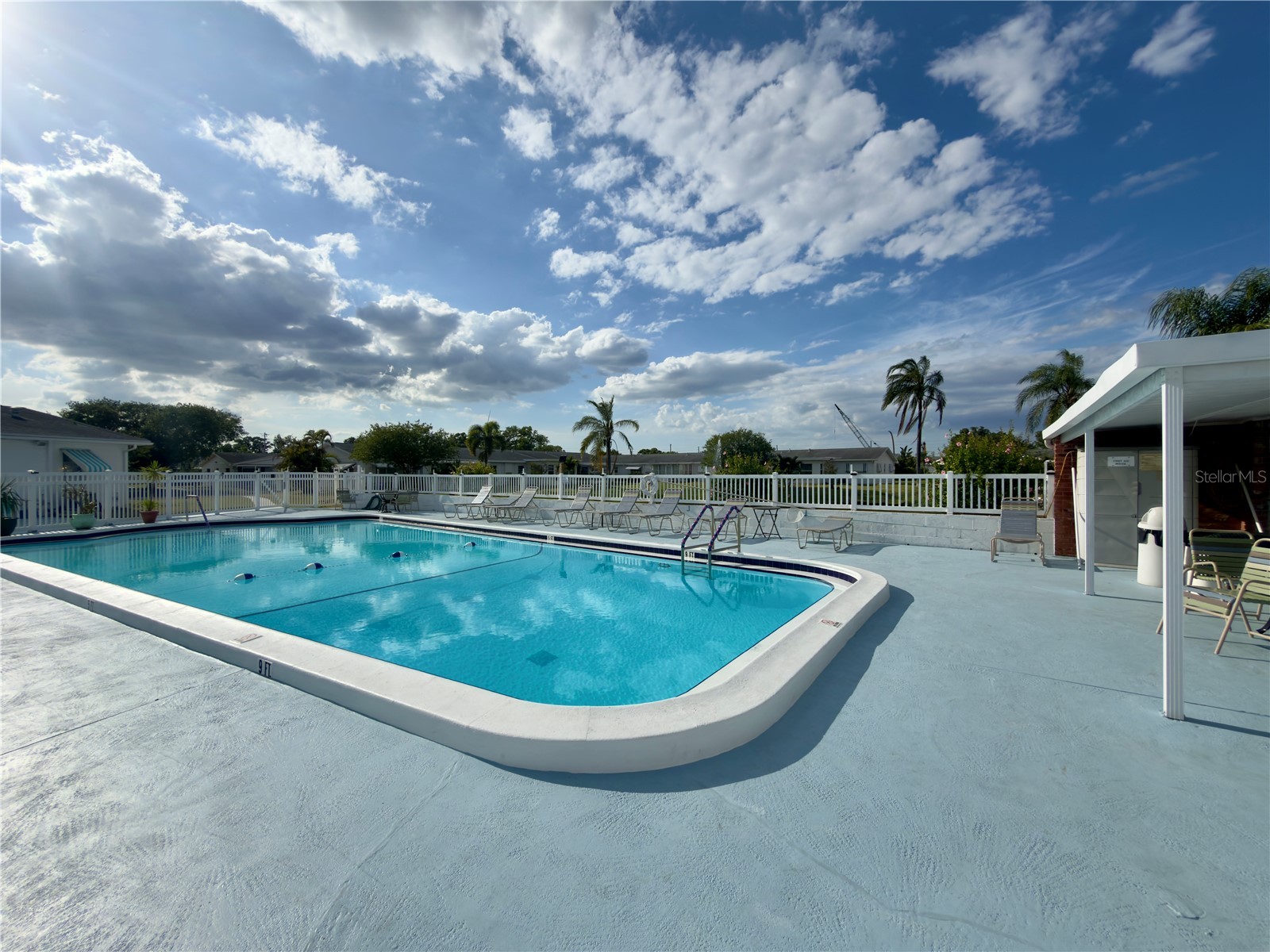 9805 Lily Street N #9805 Pinellas Park FL 33782 TB8501788 image22