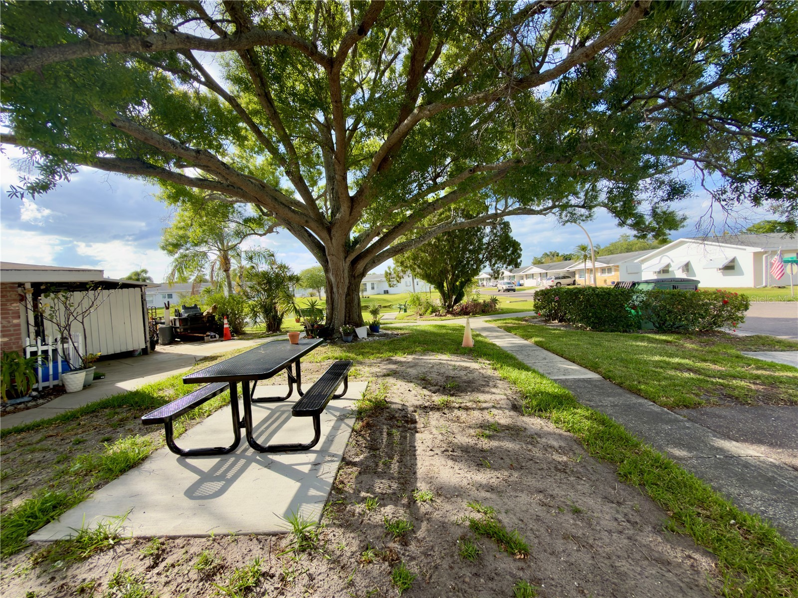 9805 Lily Street N #9805 Pinellas Park FL 33782 TB8501788 image26