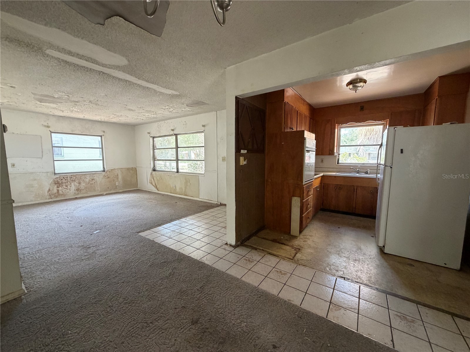9805 N 54th Street Temple Terrace FL 33617 TB8505374 image11
