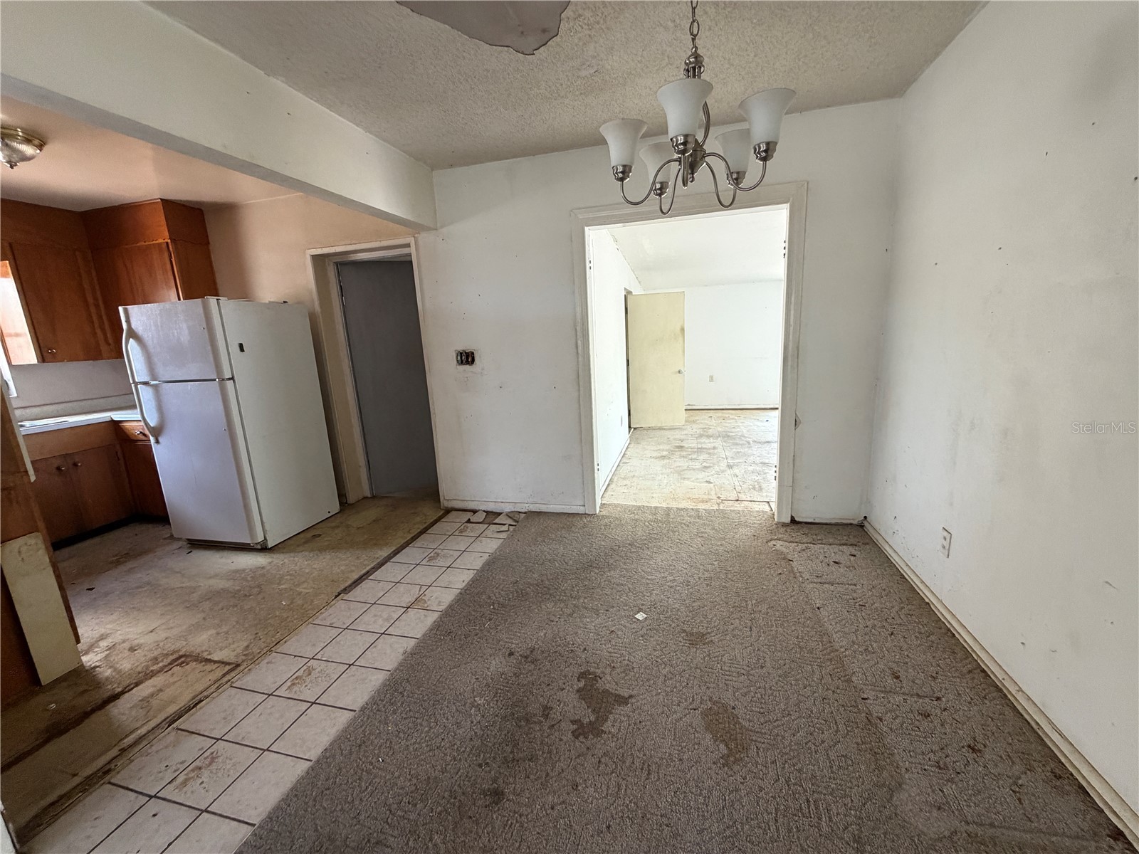 9805 N 54th Street Temple Terrace FL 33617 TB8505374 image13