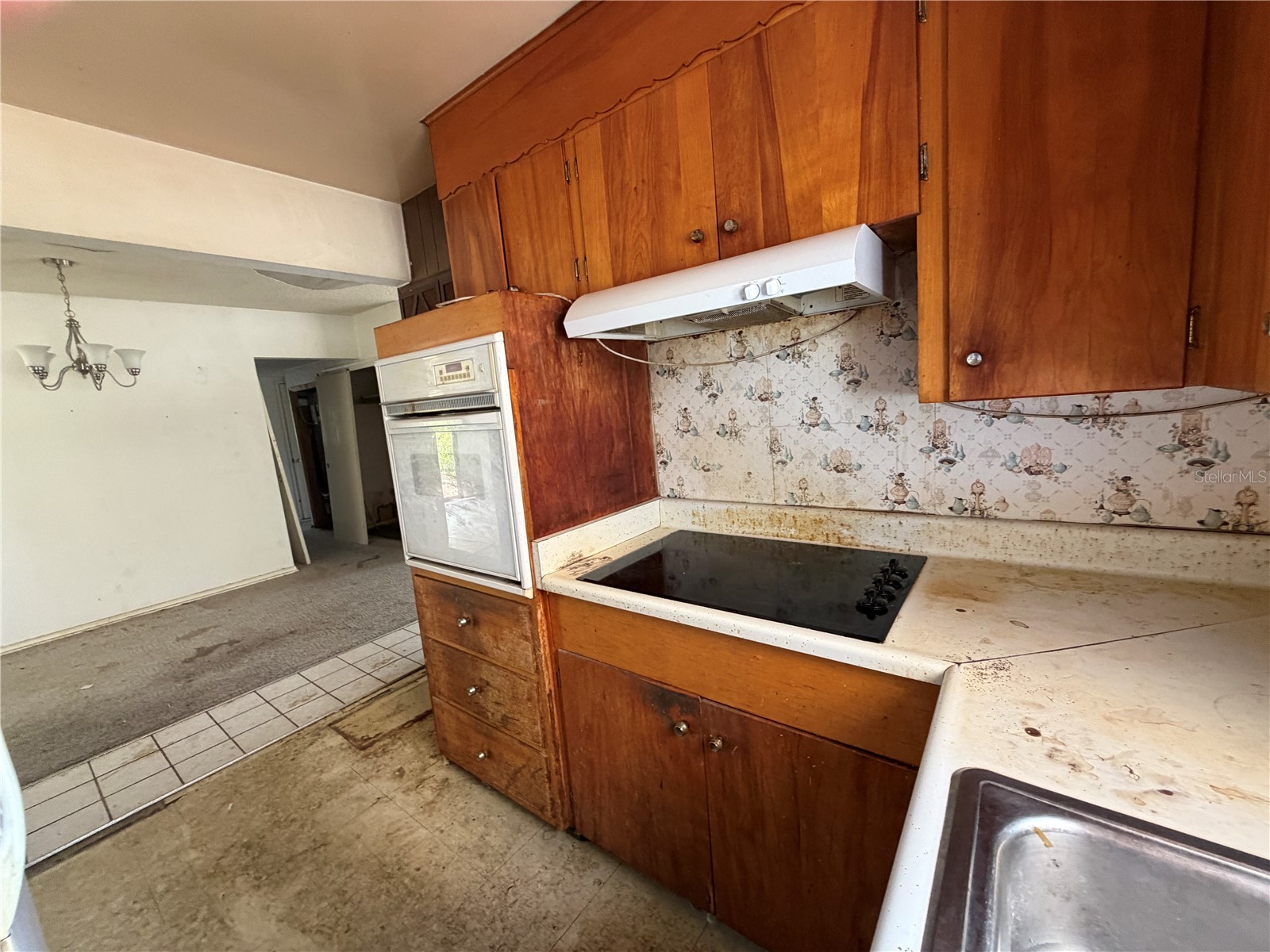9805 N 54th Street Temple Terrace FL 33617 TB8505374 image15