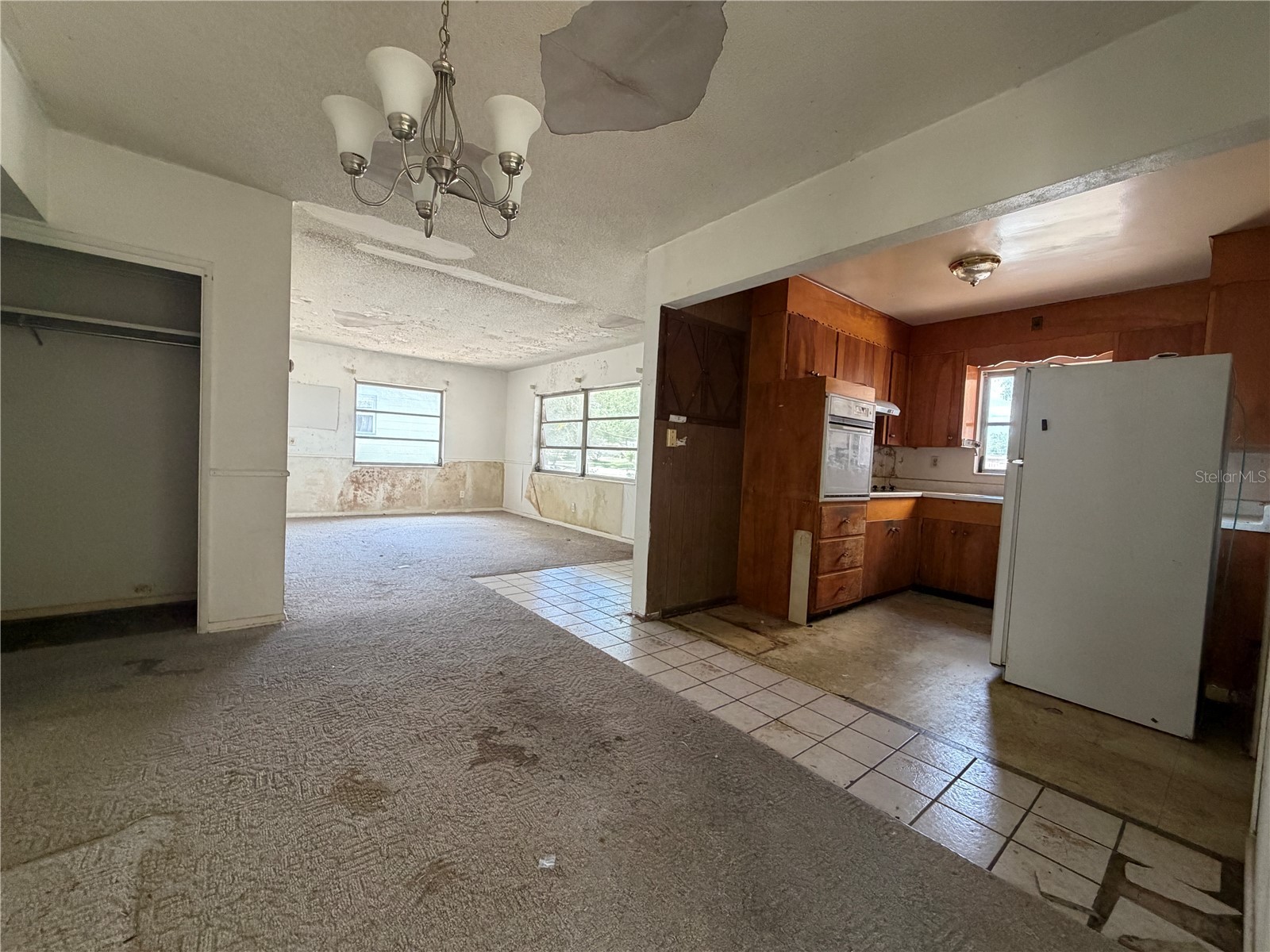 9805 N 54th Street Temple Terrace FL 33617 TB8505374 image21