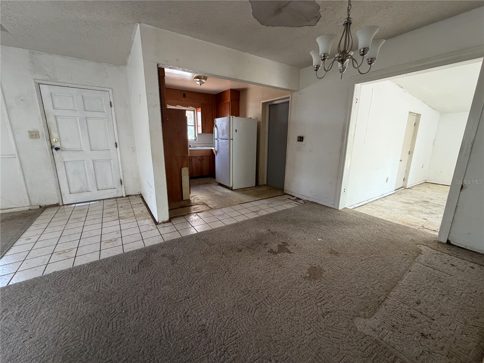 9805 N 54th Street Temple Terrace FL 33617 TB8505374 image28