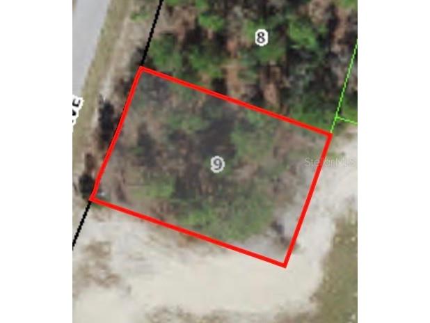 9805 N Emellia Avenue Citrus Springs FL 34433 A4577446 image1