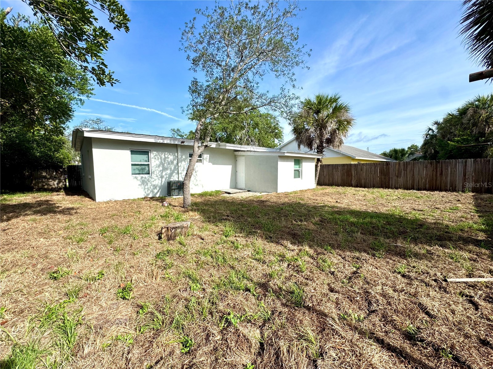 9805 N Myrtle Street Tampa FL 33617 A4695751 image9