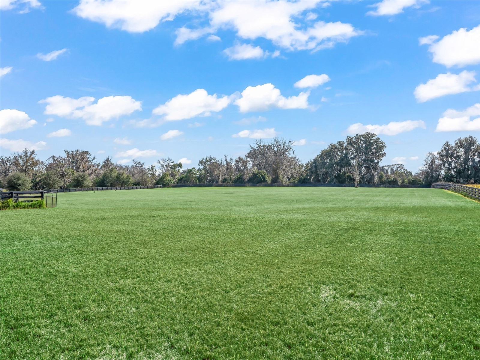 9805 NW 6th Court Ocala FL 34475 OM716625 image49