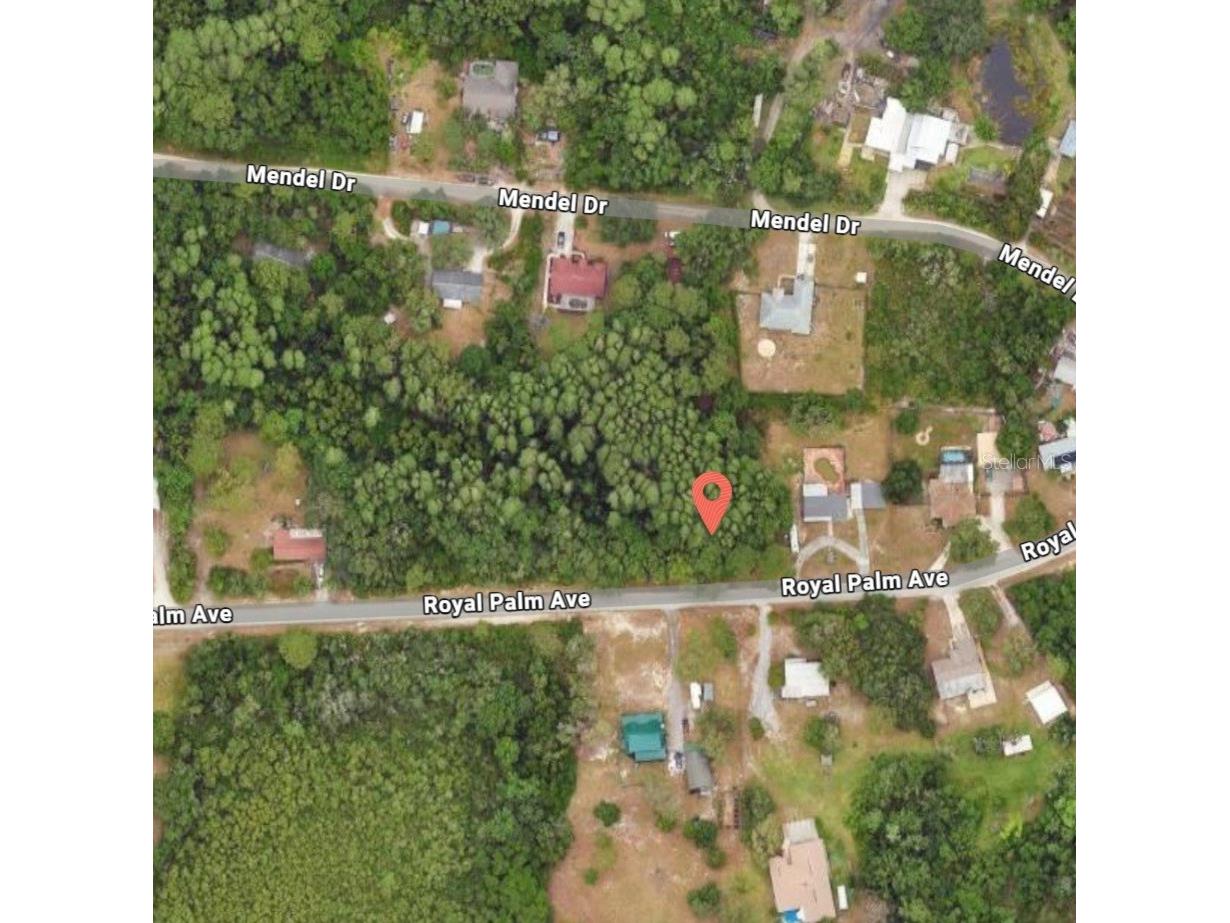 9805 Royal Palm Avenue New Port Richey FL 34654 TB8502836 image1