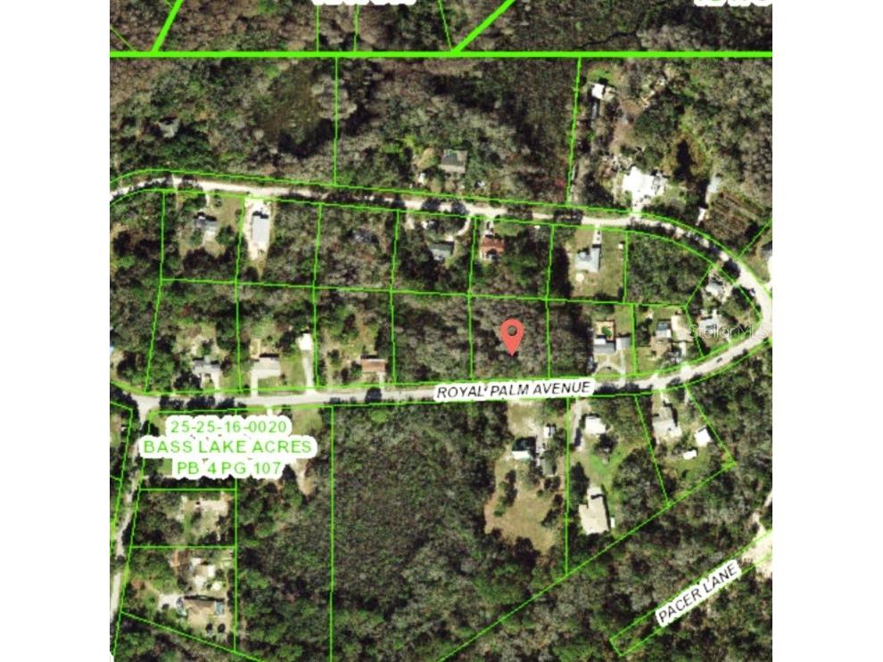 9805 Royal Palm Avenue New Port Richey FL 34654 TB8502836 image2