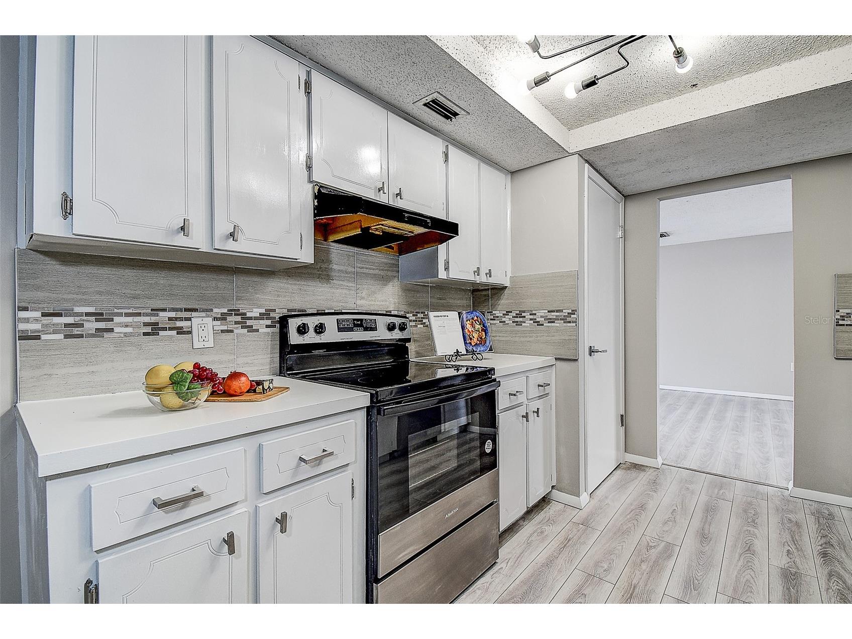 9805 Scenic Drive Port Richey FL 34668 TB8479557 image15