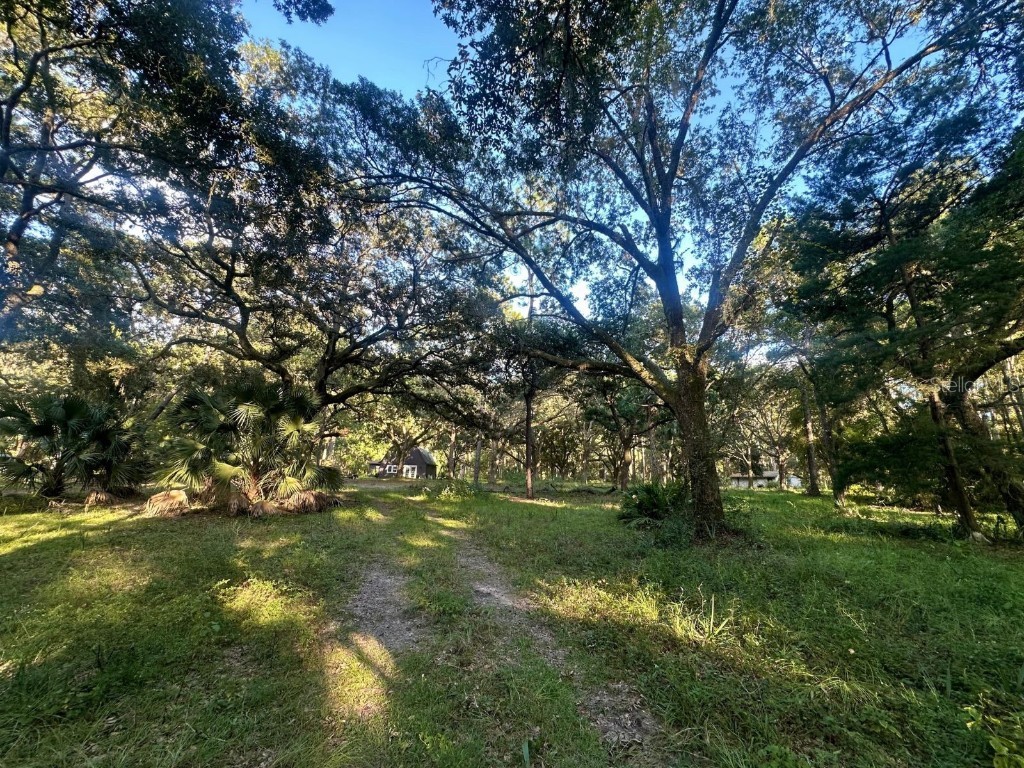 9805 SE 182nd Avenue Road Ocklawaha FL 32179 OM687110 image1