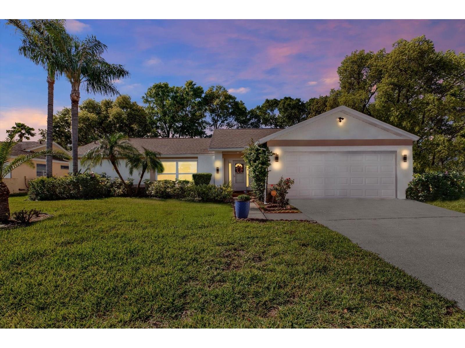 9806 Didrikson Drive New Port Richey FL 34655 - LAKE SAXON G5111134 image1