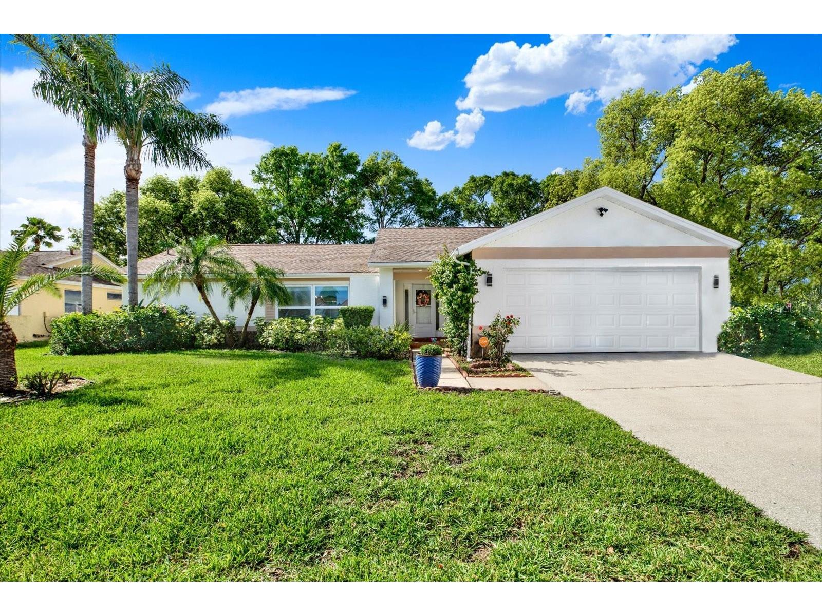 9806 Didrikson Drive New Port Richey FL 34655 - LAKE SAXON G5111134 image2