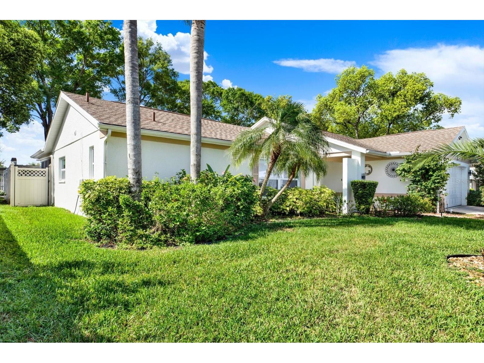 9806 Didrikson Drive New Port Richey FL 34655 - LAKE SAXON G5111134 image3