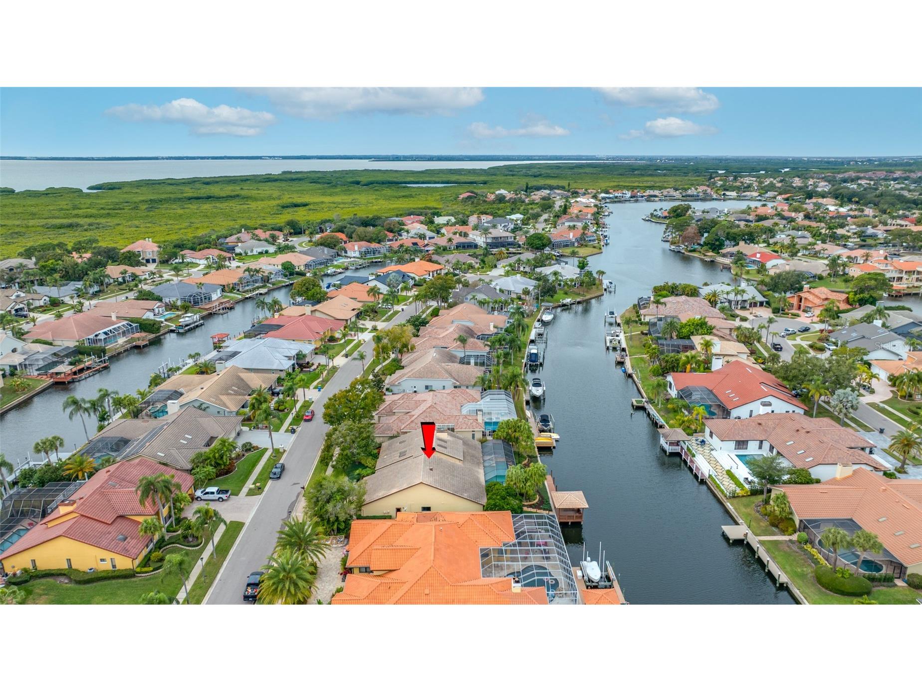 9807 Compass Point Way Tampa FL 33615 TB8426885 image5