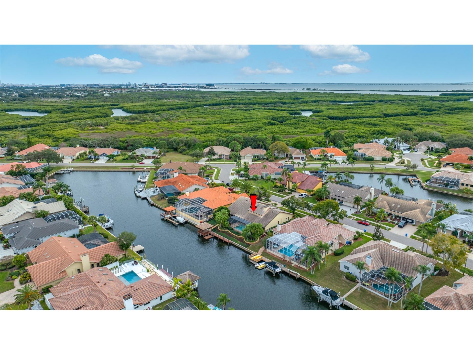 9807 Compass Point Way Tampa FL 33615 TB8426885 image63