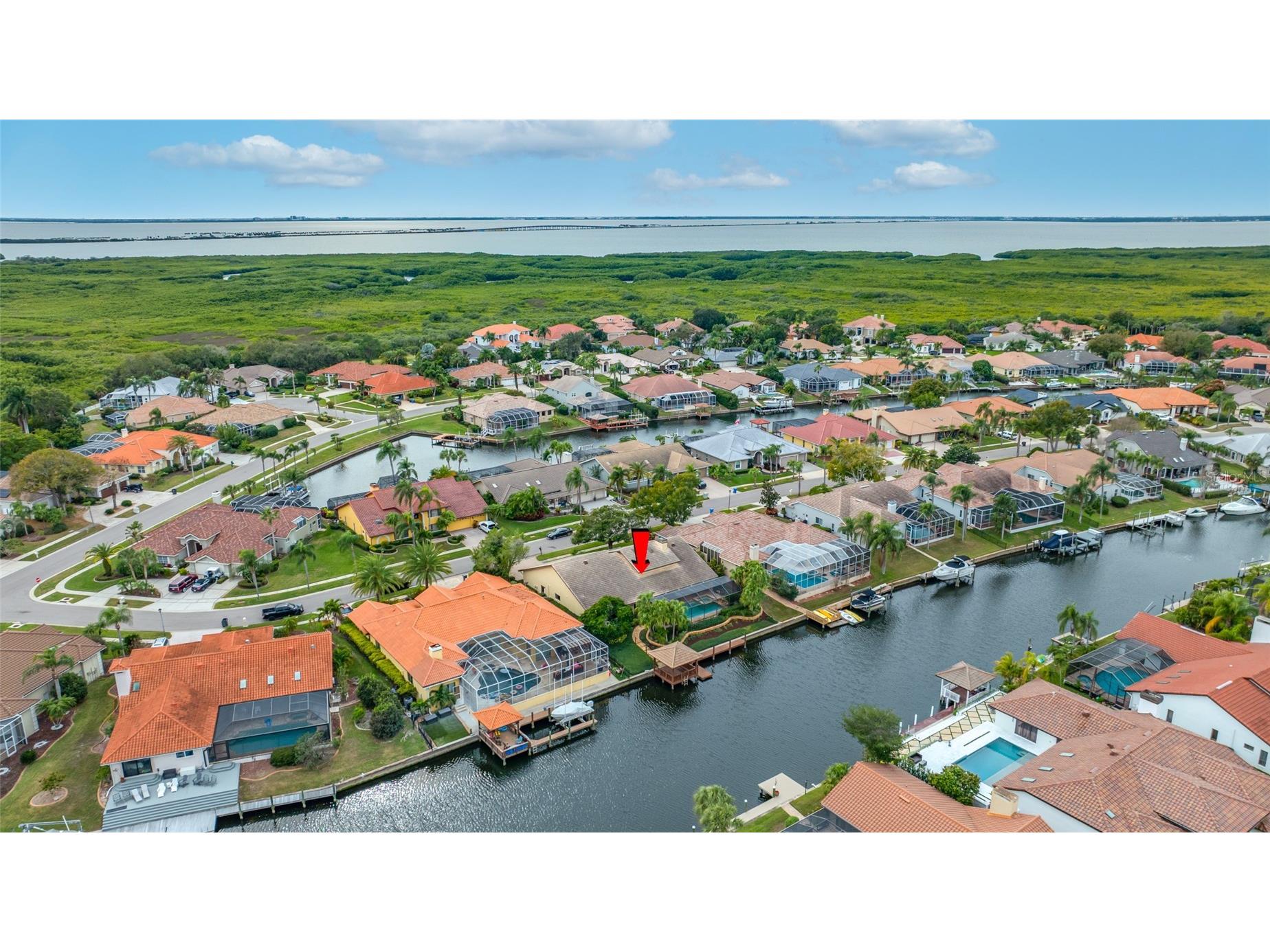 9807 Compass Point Way Tampa FL 33615 TB8426885 image7