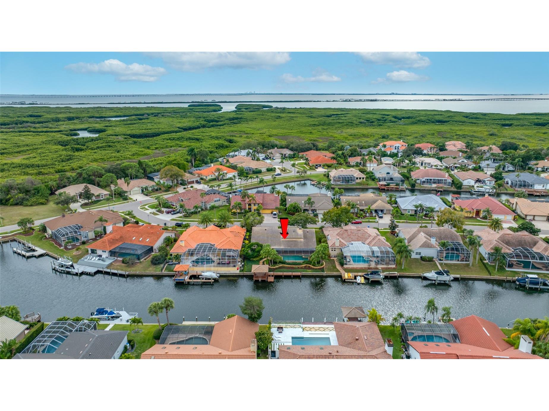 9807 Compass Point Way Tampa FL 33615 TB8426885 image8