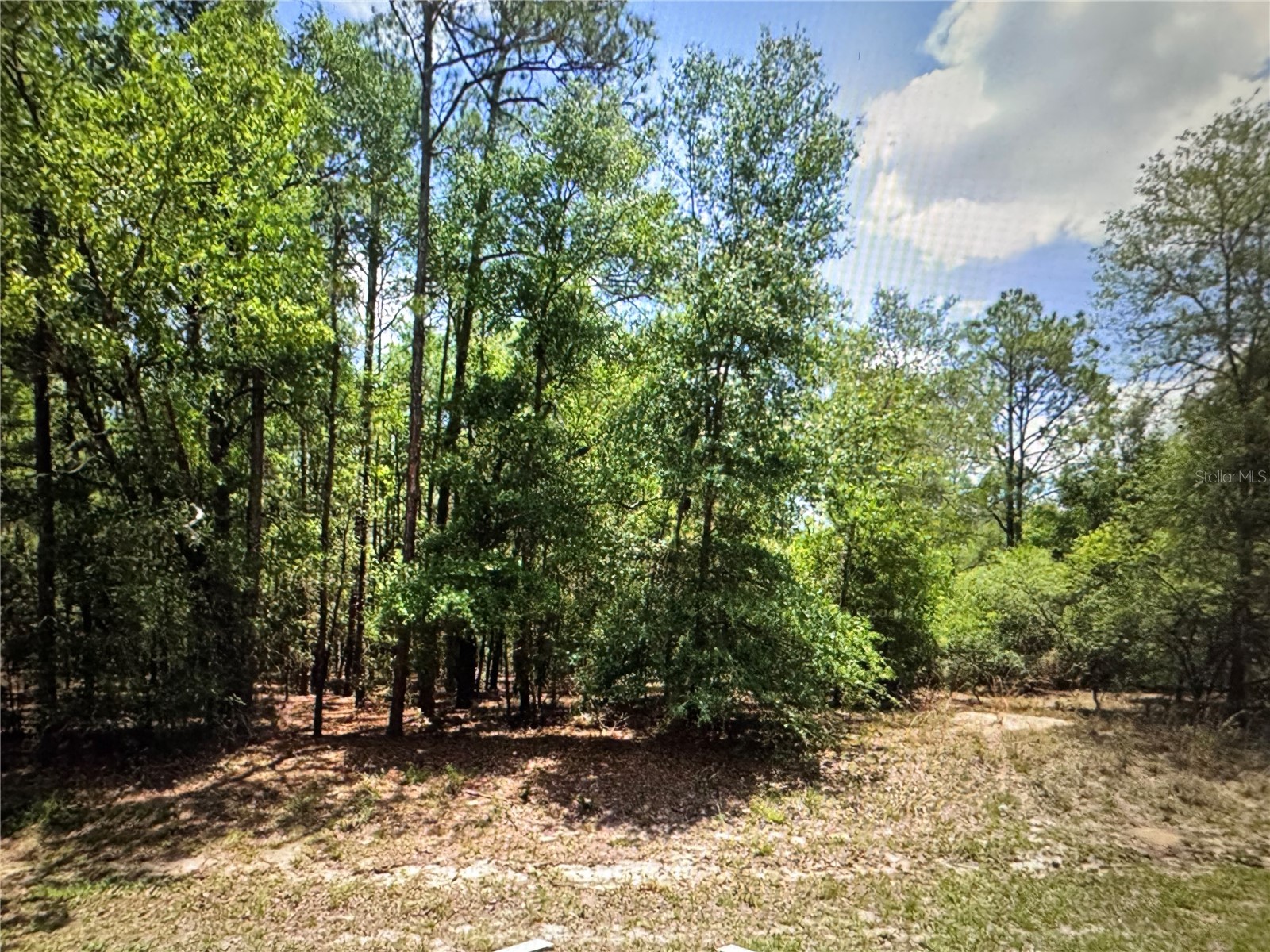 9807 N Pewter Avenue Dunnellon FL 34434 TB8466850 image1