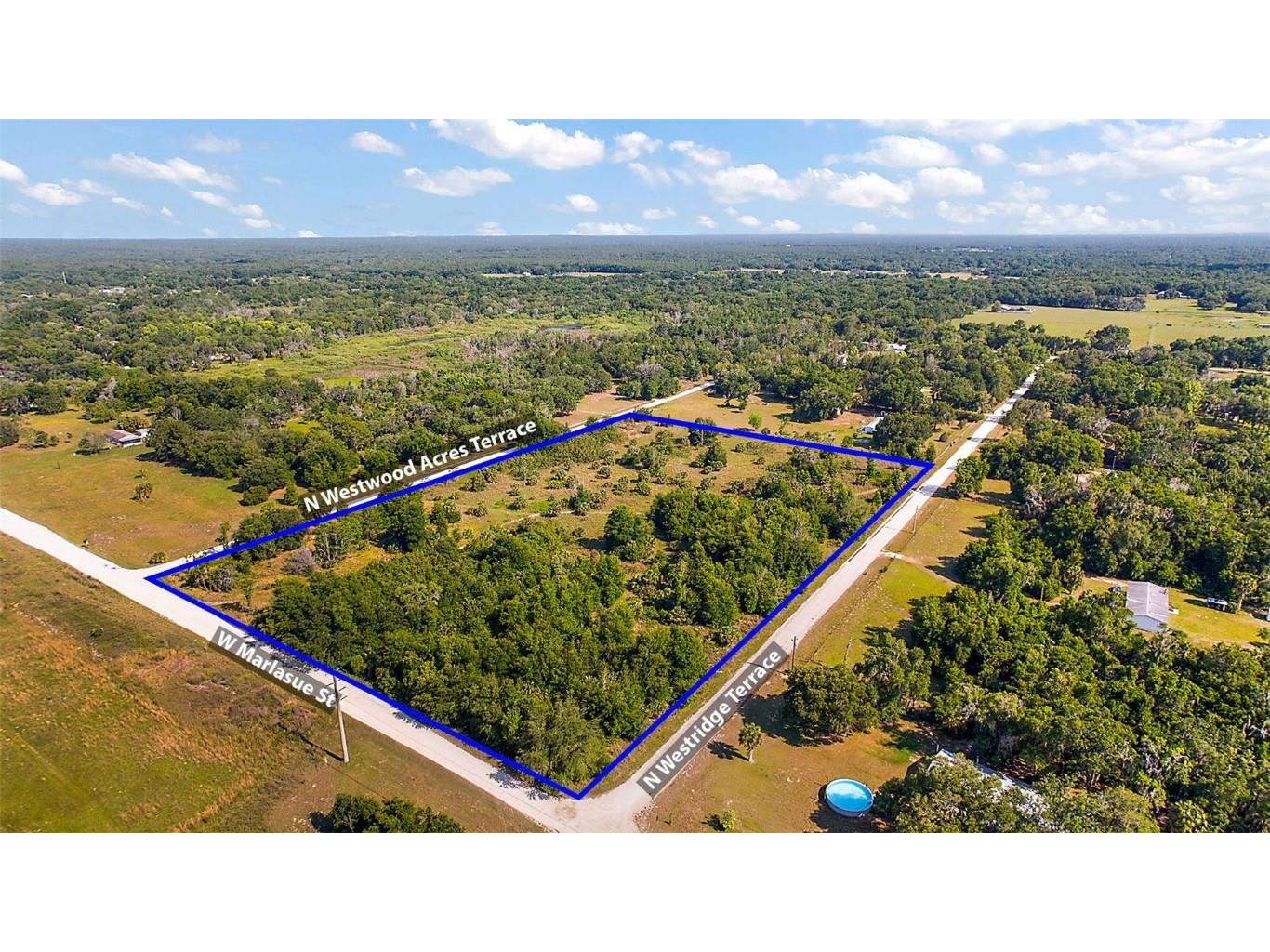 9807 N Westridge Terrace Crystal River FL 34428 O6185894 image2