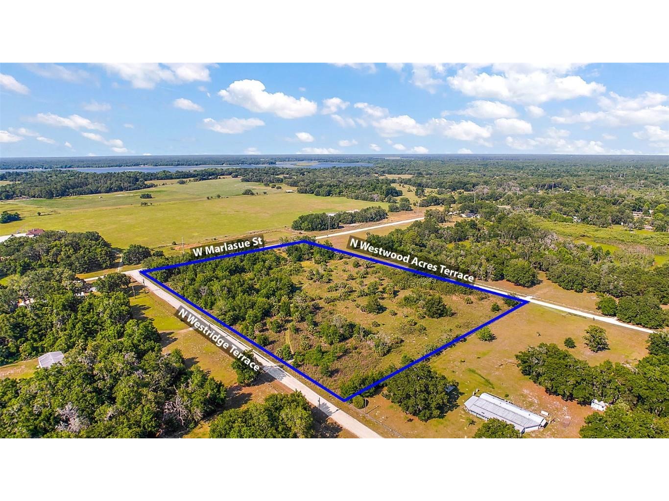 9807 N Westridge Terrace Crystal River FL 34428 O6185894 image3