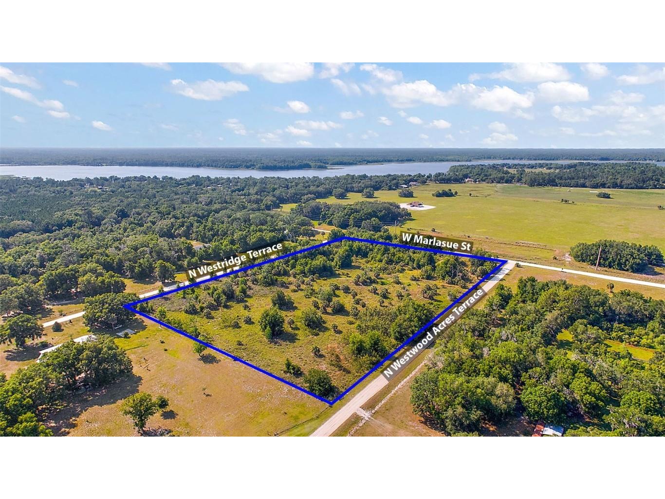 9807 N Westridge Terrace Crystal River FL 34428 O6185894 image5