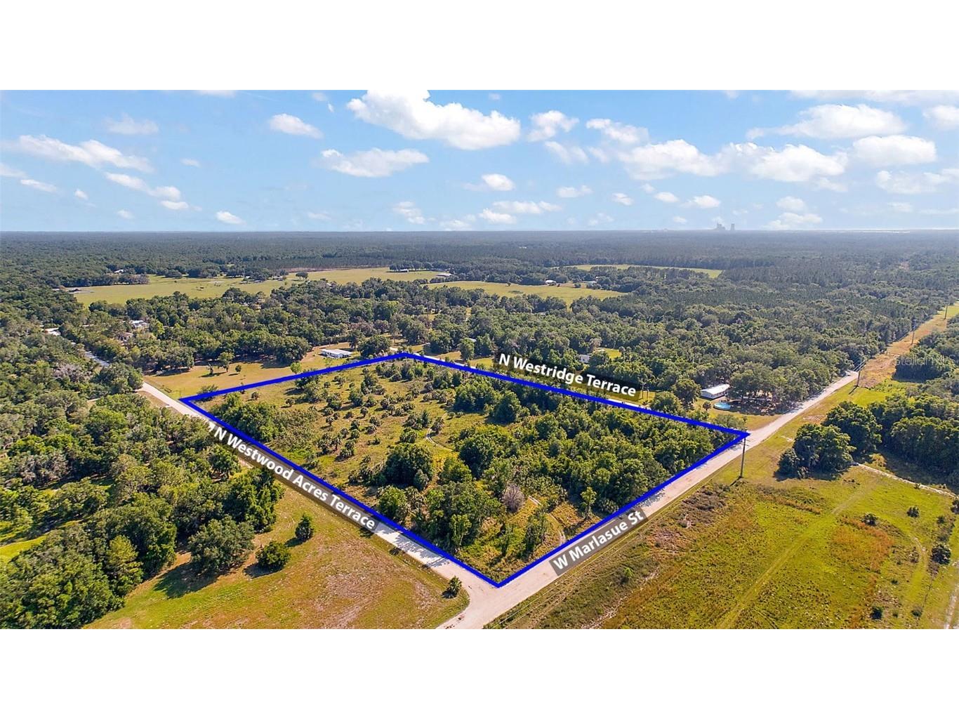 9807 N Westridge Terrace Crystal River FL 34428 O6185894 image7