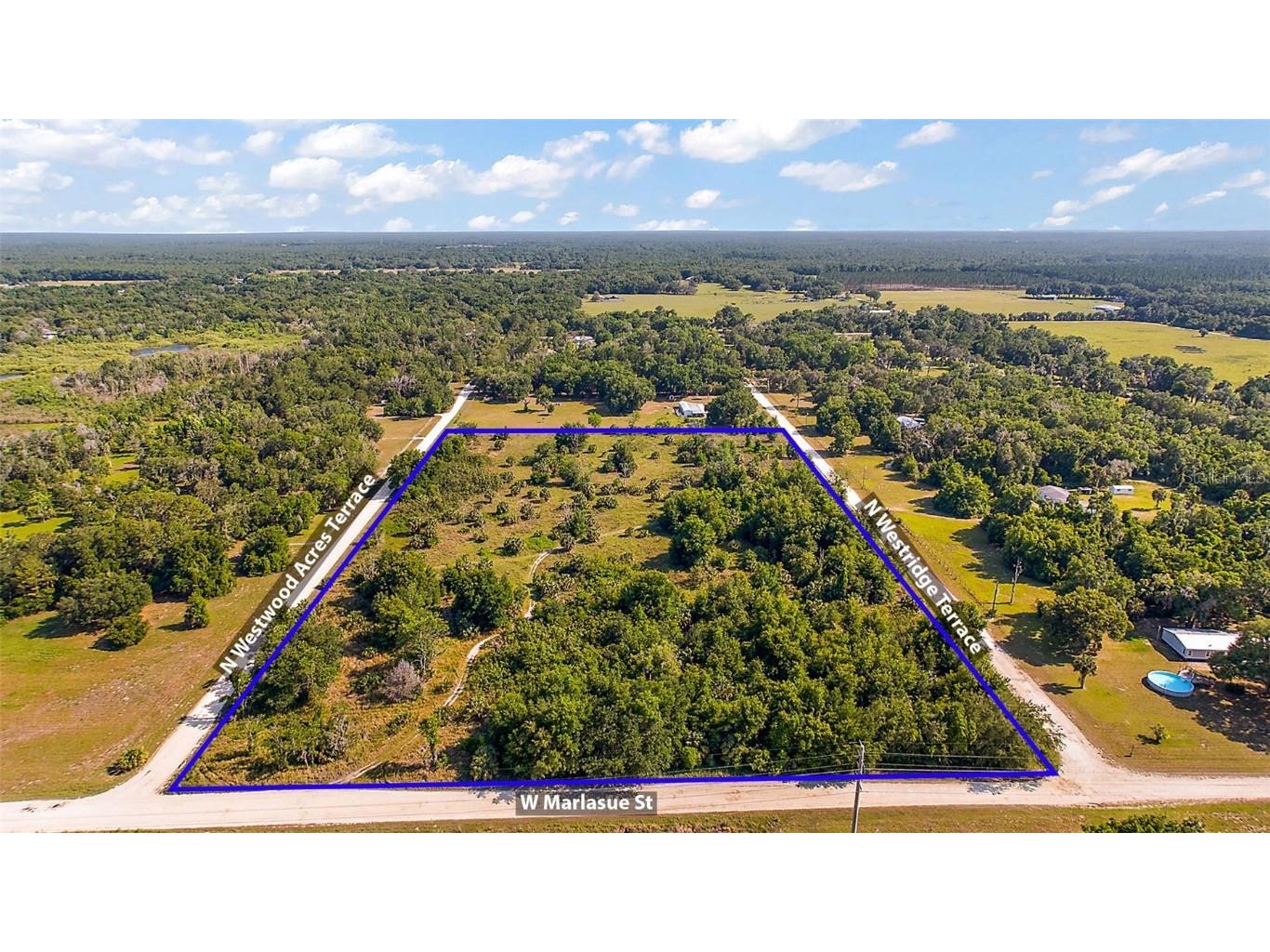 9807 N Westridge Terrace Crystal River FL 34428 O6185894 image8