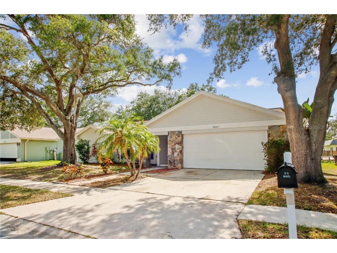 9807 Stephenson Drive New Port Richey FL 34655 TB8397700 image1
