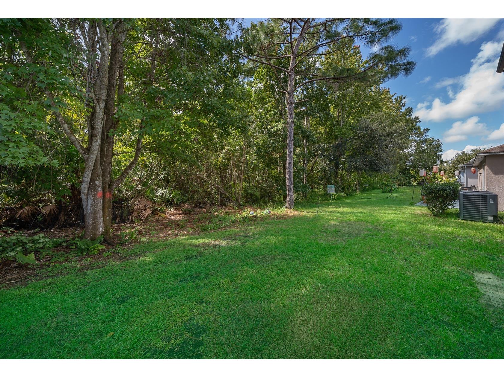 9808 Bennington Chase Drive Orlando FL 32829 O6405715 image23