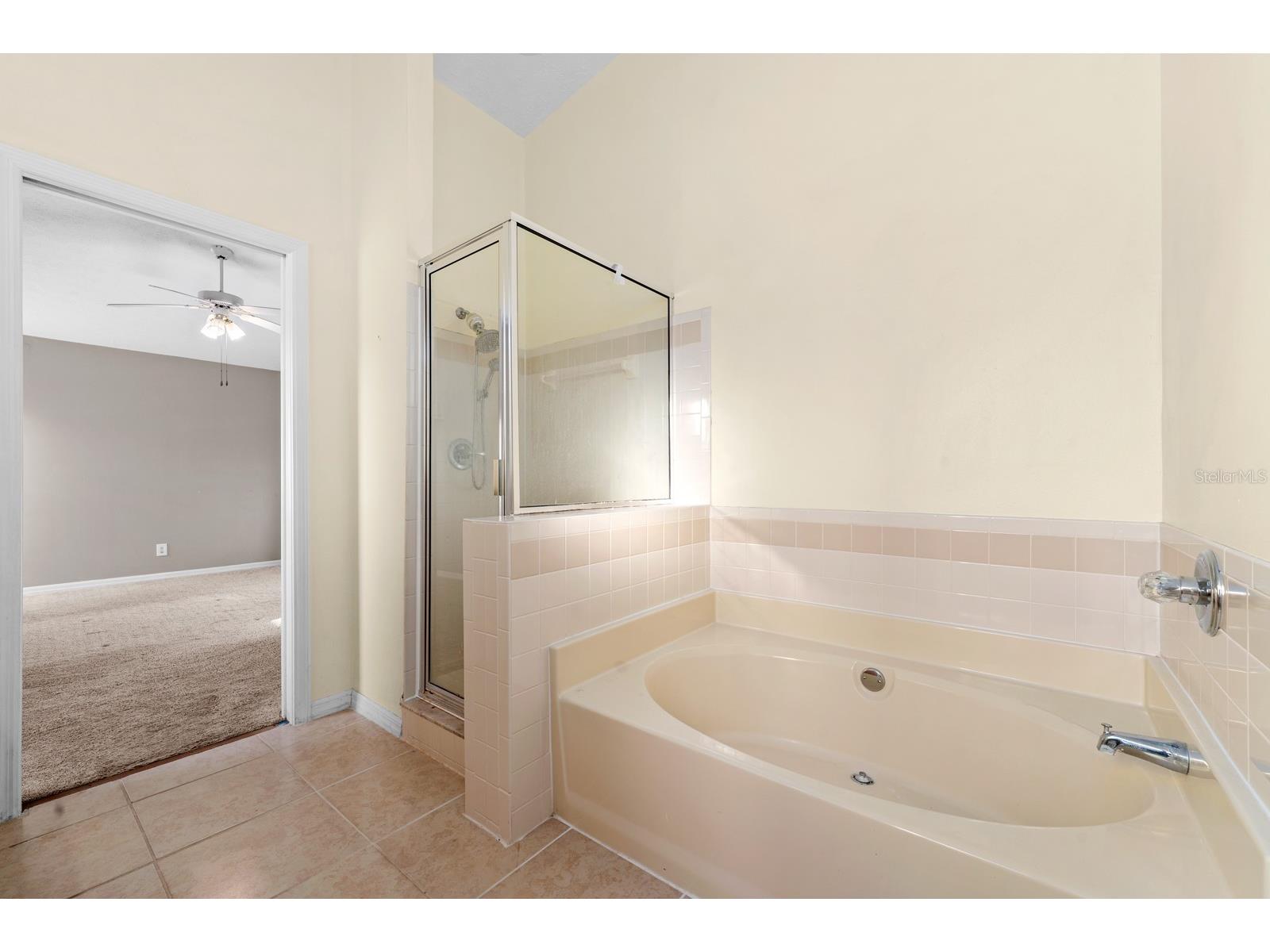 9808 Cristina Drive Riverview FL 33569 TB8497068 image18