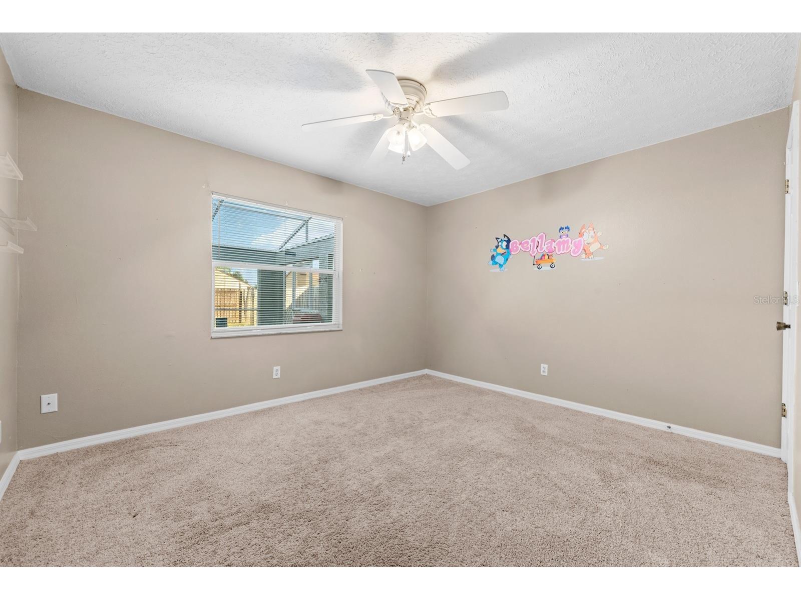 9808 Cristina Drive Riverview FL 33569 TB8497068 image19