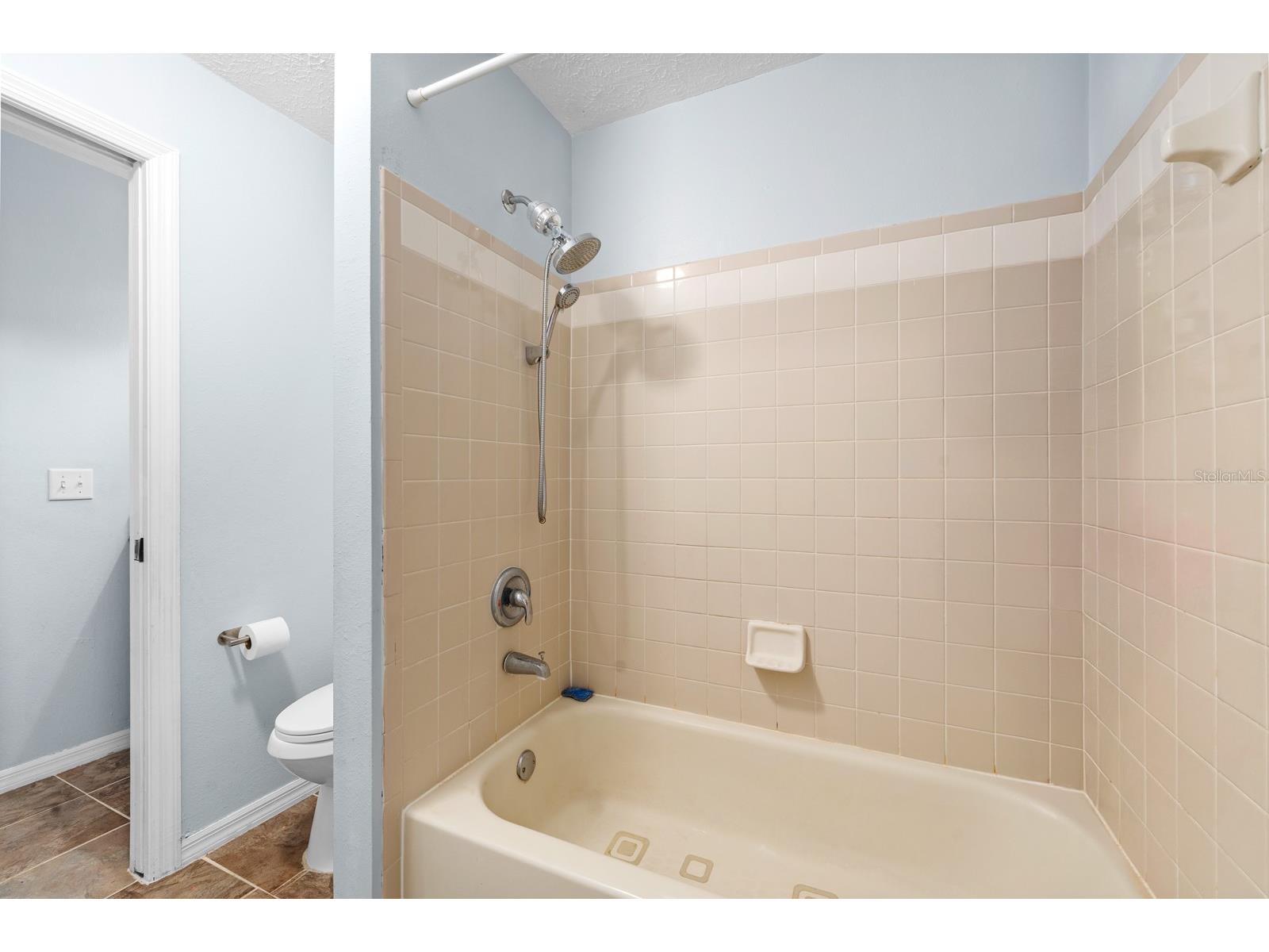9808 Cristina Drive Riverview FL 33569 TB8497068 image22