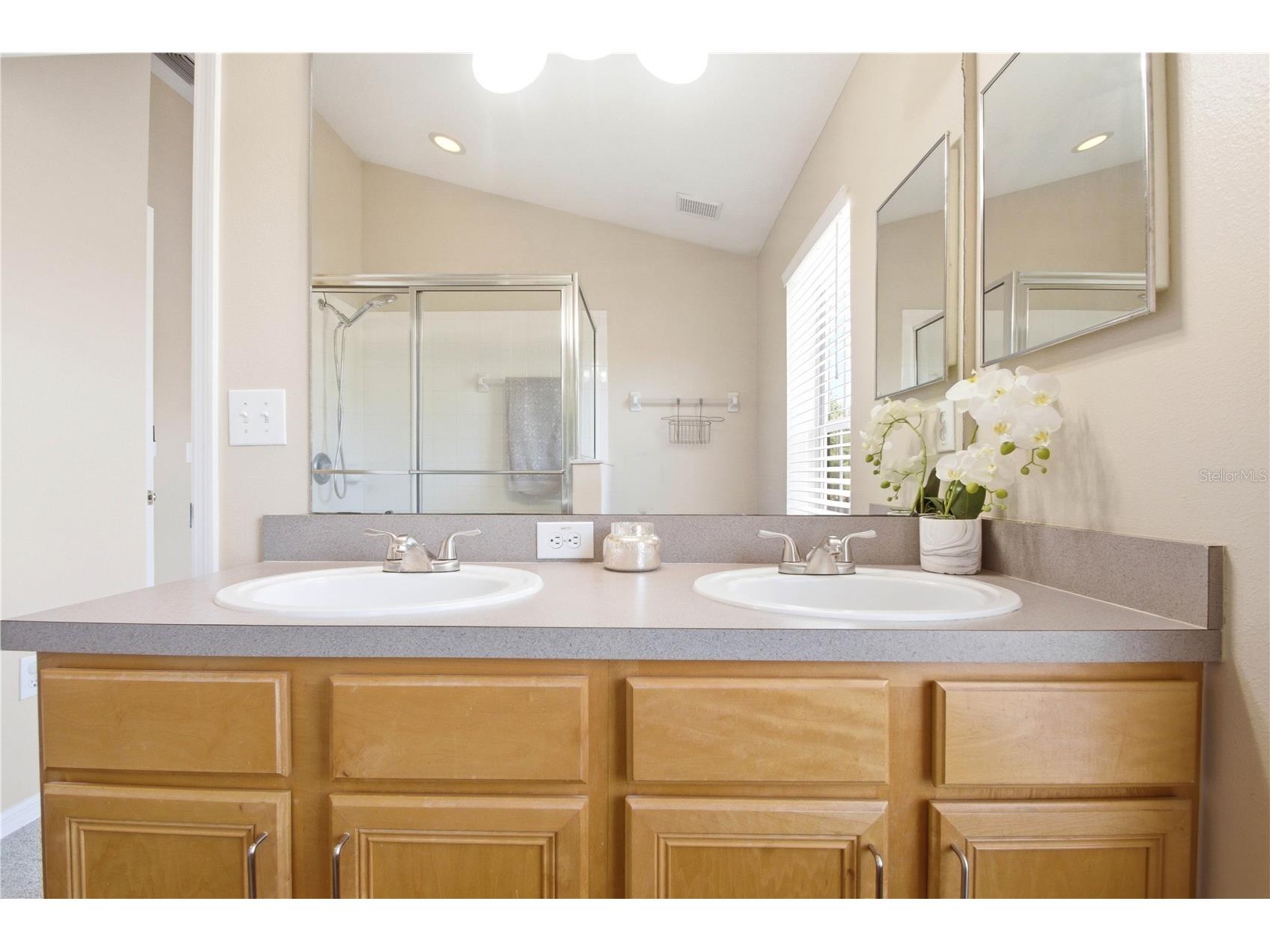 9808 New Parke Road Tampa FL 33626 TB8498030 image31