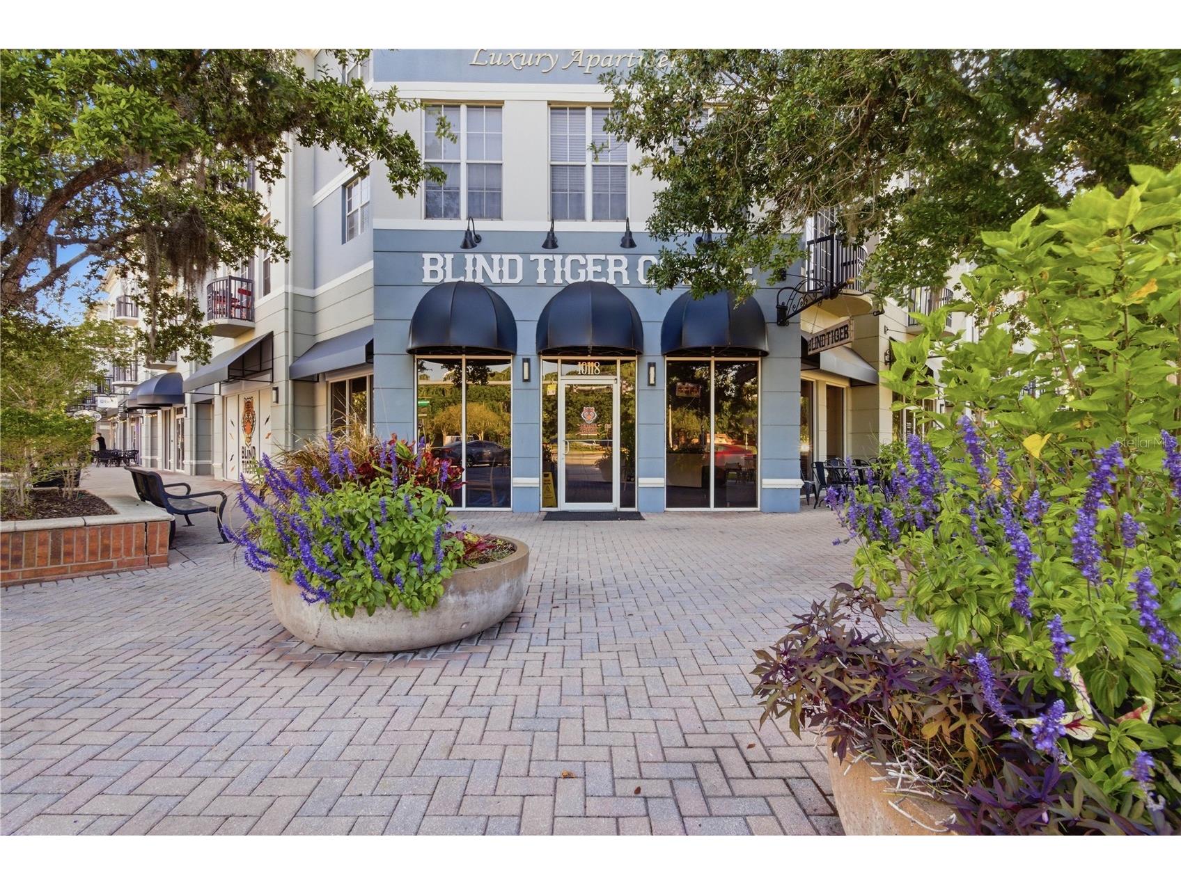 9808 New Parke Road Tampa FL 33626 TB8498030 image51