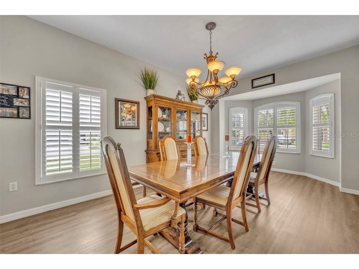 9809 Osprey Landing Drive Orlando FL 32832 O6340898 image24