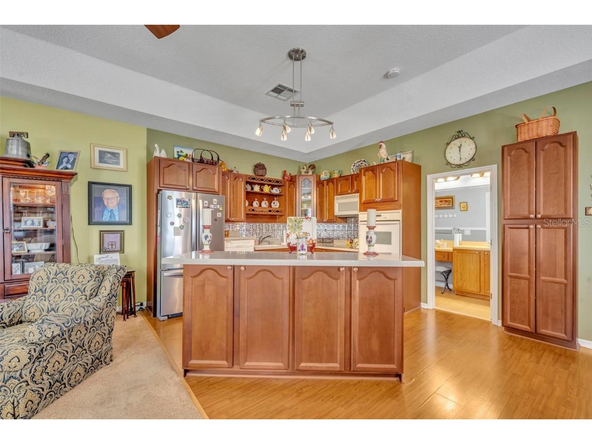 9809 Osprey Landing Drive Orlando FL 32832 O6340898 image29