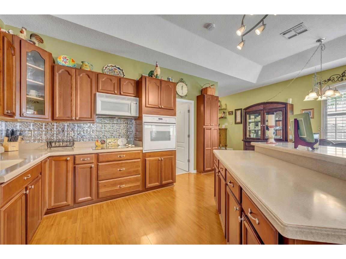 9809 Osprey Landing Drive Orlando FL 32832 O6340898 image31