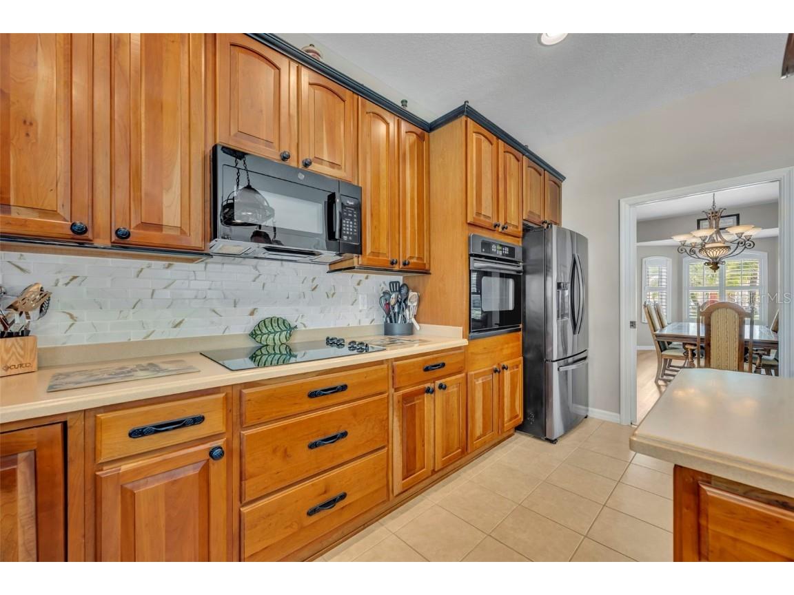 9809 Osprey Landing Drive Orlando FL 32832 O6340898 image6