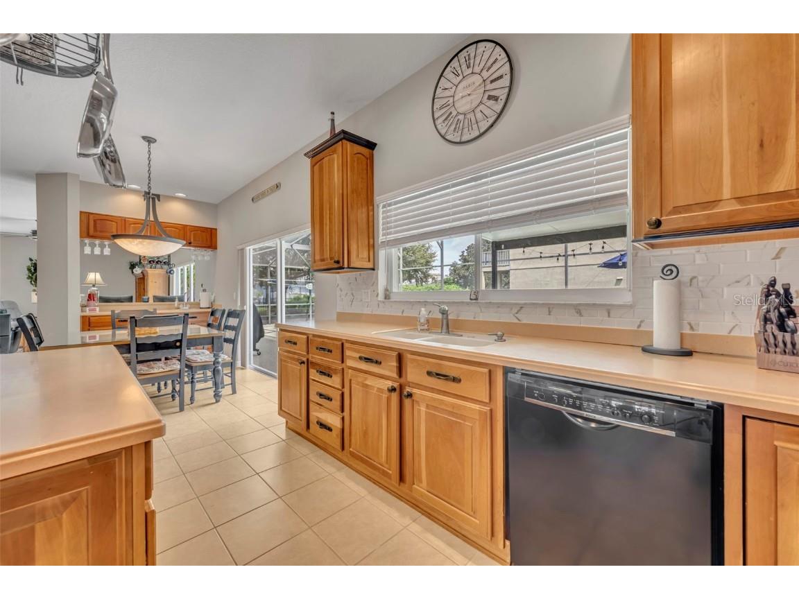 9809 Osprey Landing Drive Orlando FL 32832 O6340898 image7